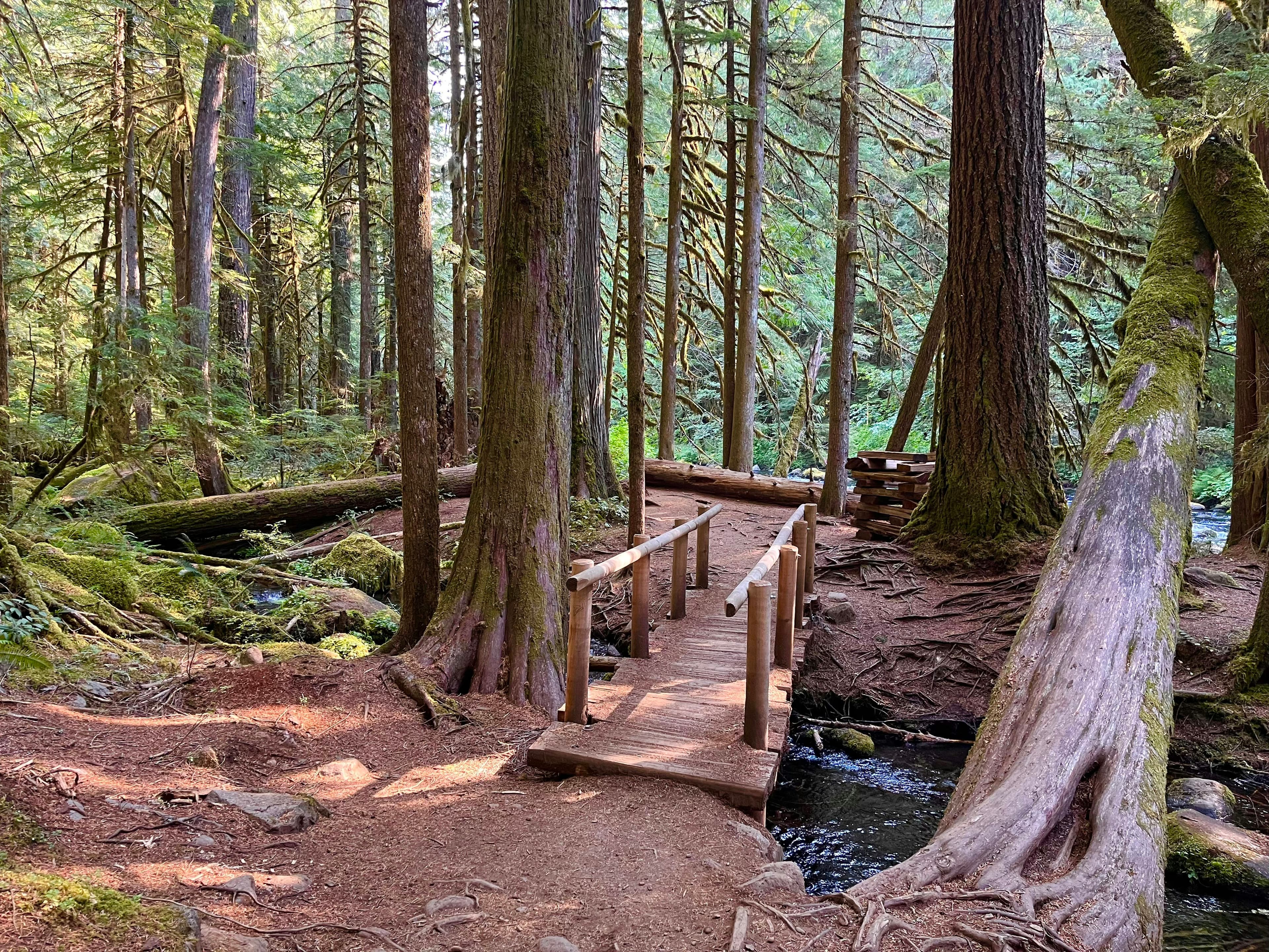 Woodlands